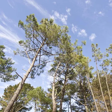 3 Proche De La Avec Garage - Fr-1-92-590 דירה *