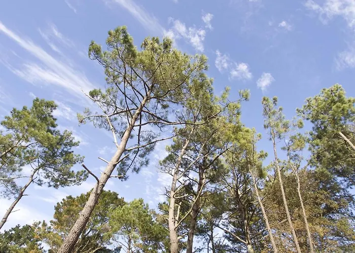 3 Proche De La Avec Garage - Fr-1-92-590 דירה *